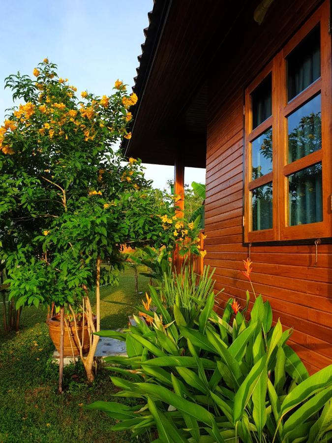 Samui Blue Bird Bed & Breakfast Bãi biển Bãi biển Mae Nam Ngoại thất bức ảnh